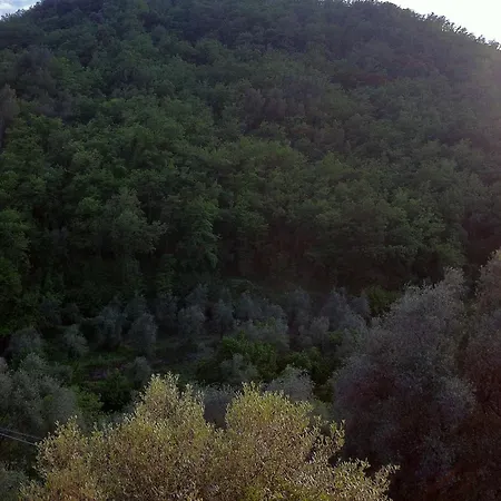 Succu La Taggiasca Apartamento Stellanello